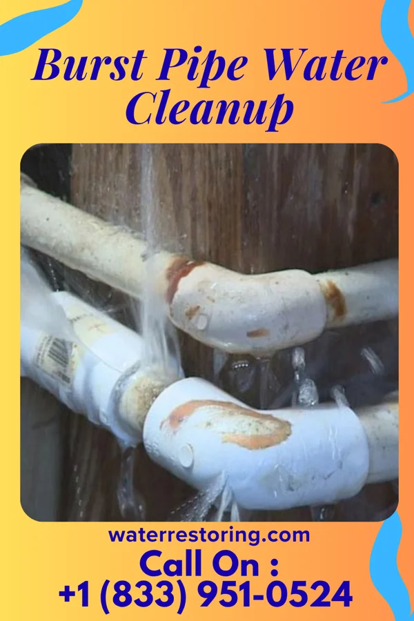 Burst Pipe Water Cleanup in McNair, VA