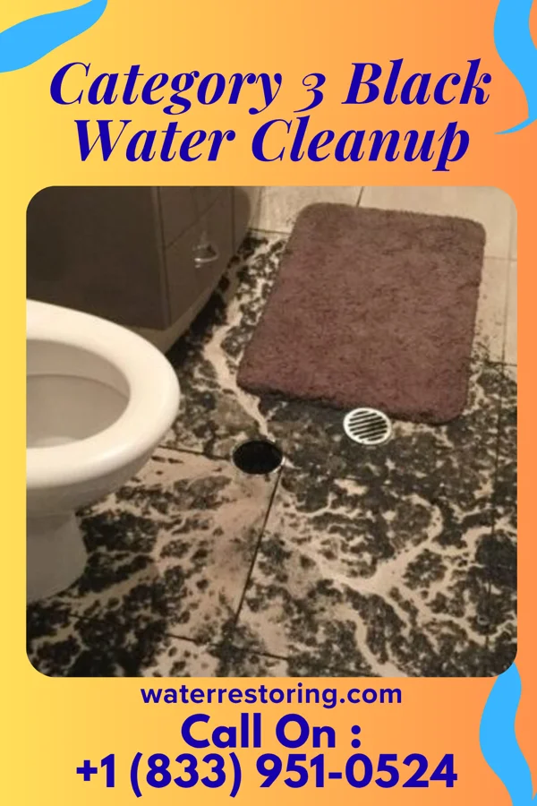 Category 3 Black Water Cleanup in McNair, VA