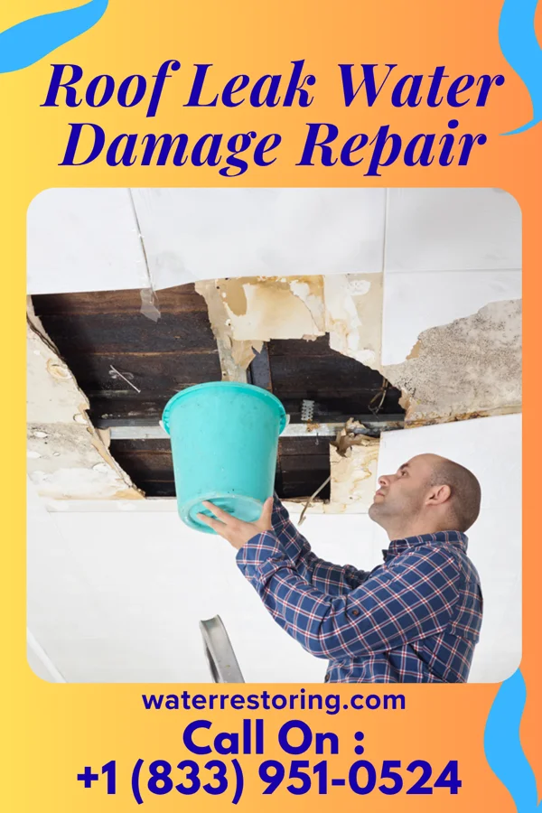 Roof Leak Water Damage Repair in McNair, VA