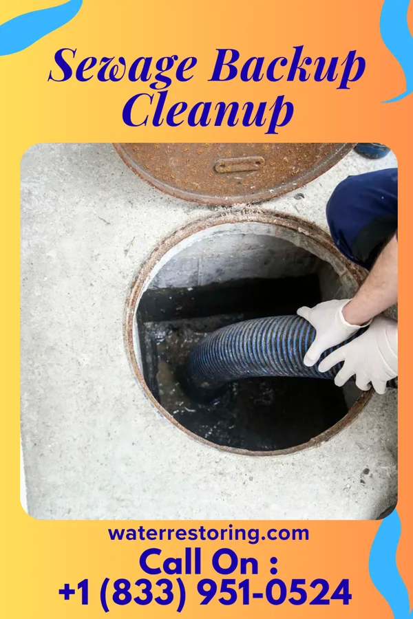 Sewage Backup Cleanup in McNair, VA