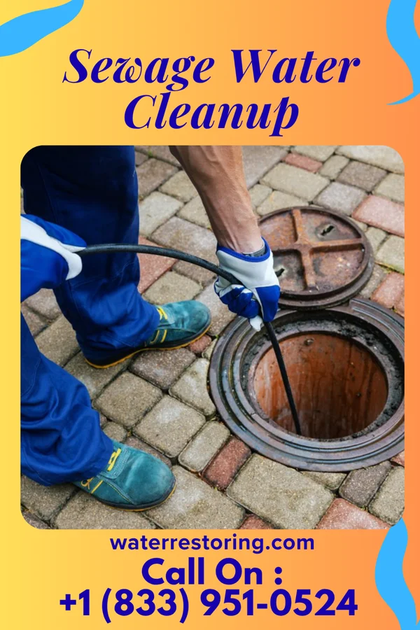 Sewage Water Cleanup in McNair, VA