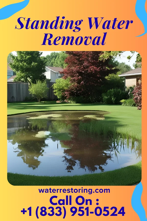 Standing Water Removal in McNair, VA